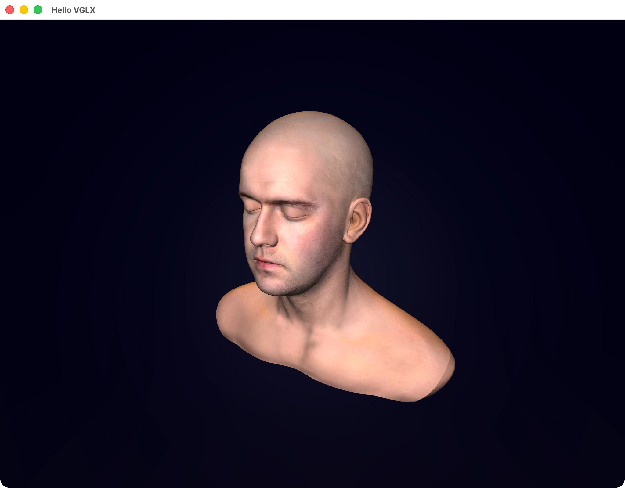Human Head Scan
